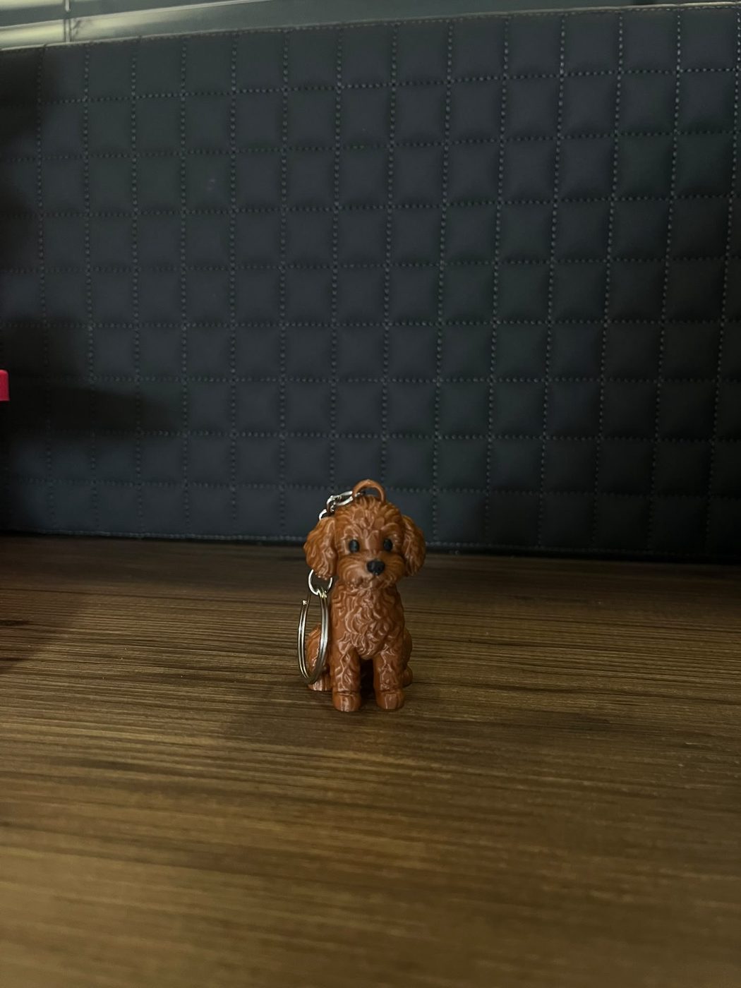 Kedi-Köpek Anahtarlık