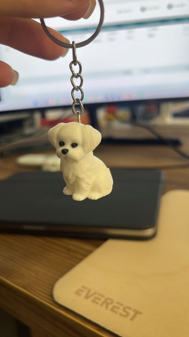 Kedi-Köpek Anahtarlık görsel 3