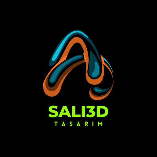 SALİ3D